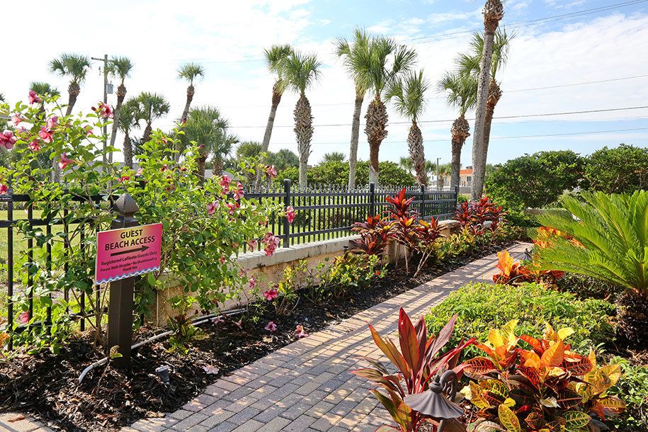 Nicely Landscaped Beach Pathway