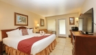 Handicap Accessible King Room